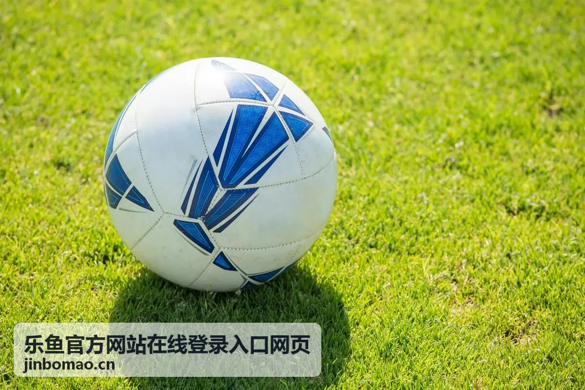 乐鱼登录入口实时安全监控