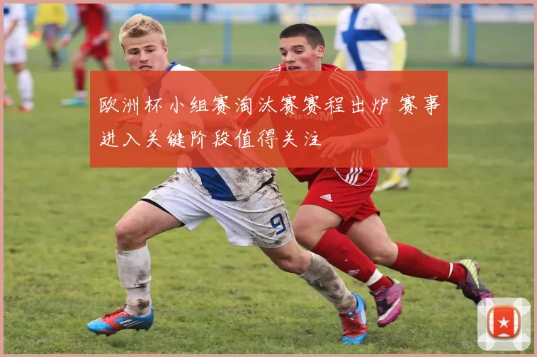 欧洲杯小组赛淘汰赛赛程出炉 赛事进入关键阶段值得关注