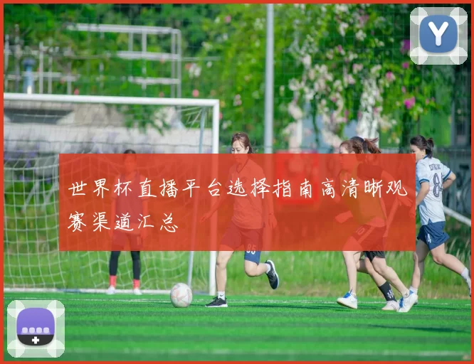 世界杯直播平台选择指南高清晰观赛渠道汇总