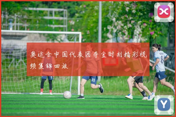 奥运会中国代表团夺金时刻精彩视频集锦回放