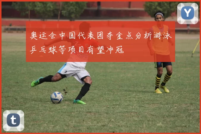 奥运会中国代表团夺金点分析游泳乒乓球等项目有望冲冠